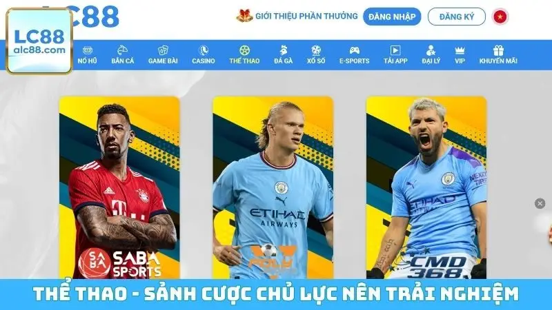 Thể thao - Sảnh cược chủ lực nên trải nghiệm